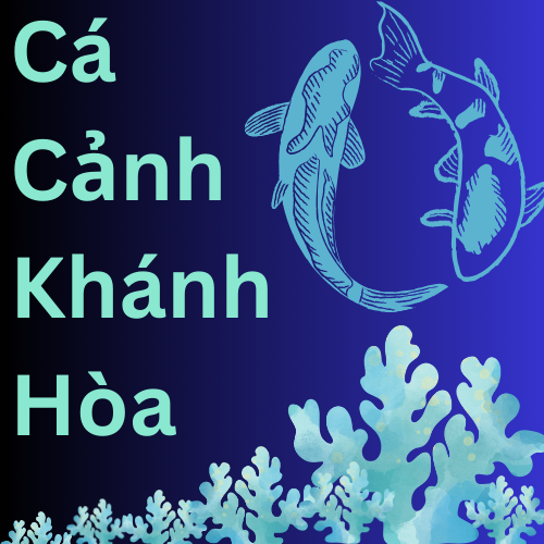 Cá Cảnh Khánh Hòa